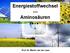 Energiestoffwechsel --- Aminosäuren. Prof. Dr. Martin van der Laan