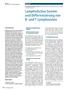 Lymphatisches System und Differenzierung von B- und T-Lymphozyten
