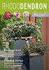 RHODODENDRON. Spezial. Rhododendron. Trends & Sorten. neu entdeckt top modern. Interview mit Gartenarchitekt Niels Blatt