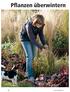 Pflanzen überwintern 60 HAUS & GARTEN 4/14