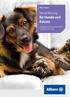 Versicherung für Hunde und Katzen