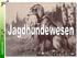 Wann kam der Mensch auf den Hund? Domestikation des Hundes vor etwa Jahren.