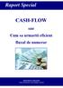Raport Special CASH-FLOW. sau Cum sa urmariti eficient fluxul de numerar. RENTROP & STRATON Grup de Editură şi Consultanţă în Afaceri