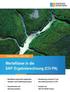 Werteflüsse in die SAP - Ergebnisrechnung (CO-PA) Christoph Theis Stefan Eifler