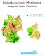Risikobarometer Mittelstand Analyse der Region Mittelrhein. Jahr 2010 / 2011