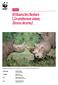 Diceros bicornis) Afrikanisches Nashorn (Ceratotherium simum, Factsheet