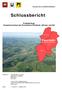 Schlussbericht. Projektauftrag: Zusammenschluss der Feuerwehren Fischbach, Ufhusen und Zell