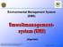 Environmental Management System (EMS) allgemein