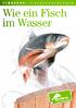 Wie ein Fisch im Wasser