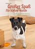 Corinna Lenz. Großer Spaß. für kleine Hunde Tricks & Spiele für Chihuahua, Jack Russell Terrier, Mops & Co.
