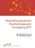 Psychotherapeutinnen Psychotherapeuten Innergebirg 2017 PONGAU