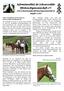 Informationsblatt der Schwarzwälder Pferdezuchtgenossenschaft e.v.  Ausgabe