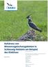 Kohärenz von Wiesenvogelschutzgebieten in Schleswig-Holstein am Beispiel des Kiebitzes - Bericht 2013