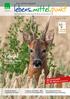 lebens.mittel.punkt Rehwild Das Lehrermagazin Mit GUTSCHEIN für die didacta (auf Seite 31) Ein häufiges Wildtier unserer Heimat