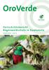 OroVerde. Fortschrittsbericht Regenwaldschutz in Guatemala