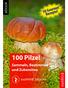 Einleitung 100 Pilze! Sammeln, Bestimmen und Zubereiten Impressum Pilze Eine besondere biologische Art 100 Pilze! Sammeln, Bestimmen und Zubereiten