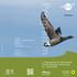 Programm. 7. Zugvogeltage im Nationalpark Niedersächsisches Wattenmeer Norderney. Veranstalter