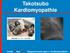 Takotsubo Kardiomyopathie. Klappenerkrankungen u. Kardiomyopathien