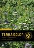 TERRA GOLD Greening & Gründüngung mit krautigen Mischungen
