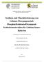 Synthese und Charakterisierung von Lithium-Übergangsmetall- Phosphat/Kohlenstoff-Komposit- Kathodenmaterialien für Lithium-Ionen- Batterien