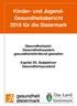 Kinder- und Jugend- Gesundheitsbericht 2010 für die Steiermark Gesundheitsziel: Gesundheitssystem gesundheitsfördernd gestalten