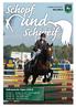 Volkmarode Open 2013: Ausgabe November Vereinszeitung des Pony- und Reit-Club Volkmarode u.u.e.v.