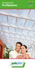 transparente Profilplatten