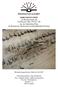 DOKUMENTATION zur Restaurierung des Chorbuches Mus. Pi Cod. VII aus der Sammlung Pirna im Bestand der Sächsischen Landesbibliothek Dresden