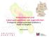 Aktionsräume und Lebensperspektiven von Jugendlichen Privilegierte und benachteiligte Stadtteile in Kassel im Vergleich.