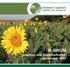 B-GRÜN Greening- und Zwischenfruchtmischungen