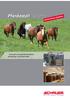Pferdestall- Systeme. Active Horse Systems. Innovative und pferdefreundliche Bewegungs- und Boxenställe