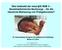 Was bedeutet der neue 43 SGB V - Sozialmedizinische Nachsorge - für die häusliche Betreuung von Frühgeborenen?