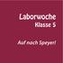 Laborwoche. Klasse 5. Auf nach Speyer!