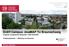 EnEff Campus: bluemap TU Braunschweig Integraler energetischer Masterplan TUBS 2020/2050