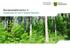 Bundeswaldinventur 3 Ergebnisse für den Freistaat Sachsen