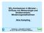NO 2 -Immissionen in Münster Einfluss von Meteorologie und Straßenverkehr, Minderungsmaßnahmen. Nina Kampling
