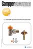 4.5 Vario-DP Dynamisches Thermostatventil