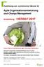 Agile Organisationsentwicklung und Change Management
