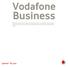 Vodafone Red Business.