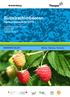 Substrathimbeeren Versuchsbericht 2016