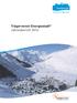 Trägerverein Energiestadt Jahresbericht 2016