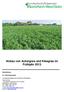 Anbau von Ackergras und Kleegras im Frühjahr 2013