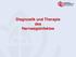 Diagnostik und Therapie des Harnwegsinfektes