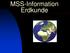 MSS-Information Erdkunde