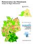 Risikostruktur des Mittelstands Analyse der Region Münsterland