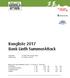 Rangliste 2017 OK Bank Linth SummerAttack. Bank Linth SummerAttack (29 km / hm / hm)
