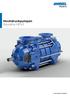 Hochdruckpumpen Baureihe HP43