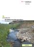 Amt für Umwelt. Schlussbericht Revitalisierung Fliessgewässer - Strategische Planung