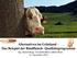 Rindfleischprodukte aus Österreich. Alternativen im Grünland Das Beispiel der Rindfleisch- Qualitätsprogramme
