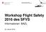 Workshop Flight Safety 2016 des SFVS